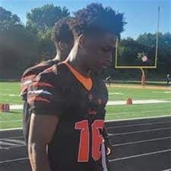 2025 MLB- LADARRION NEWELL